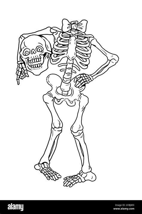 Funny human skeleton. Halloween drawing. Coloring template Stock Photo ...