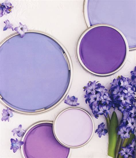 Hyacinth Purple Paint Color Schemes, Paint Color Palettes, Grey Paint ...