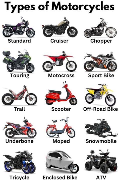 types of motorcycles | Motorini, Motocicli personalizzati, Moto da ragazza