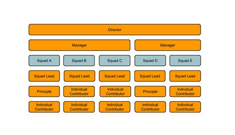 Agile Squad Organization Models