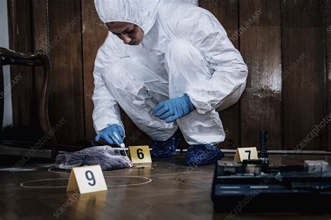 Crime scene investigation - Stock Image - F024/3758 - Science Photo Library