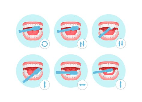 Brushing Technique