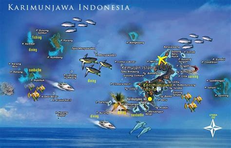 Tentang Karimun jawa | Sejarah | Transportasi | Paket Wisata