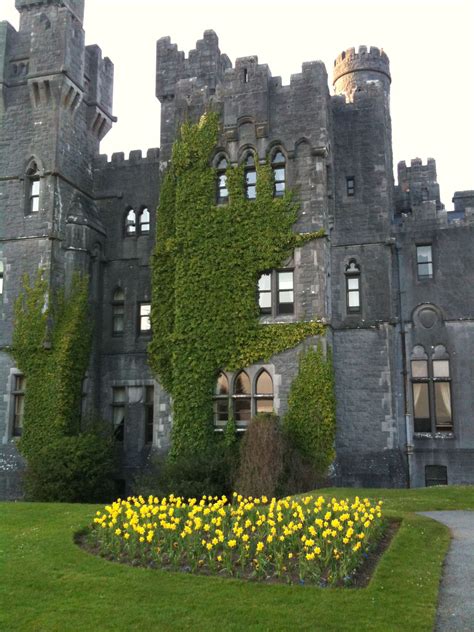 Internet Marketing | Make Money Online | Castles in ireland, Ashford ...