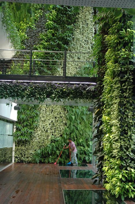 Singapore — Biophilic Cities