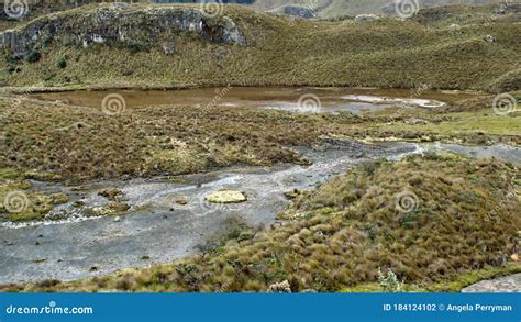 Marshy Area in a Mountain Valley Stock Photo - Image of cajas, green ...