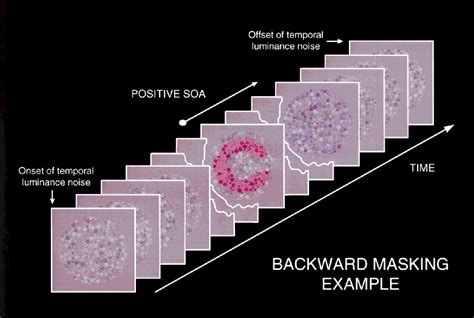 Figure 1 from Forward and backward masking with brief chromatic stimuli ...