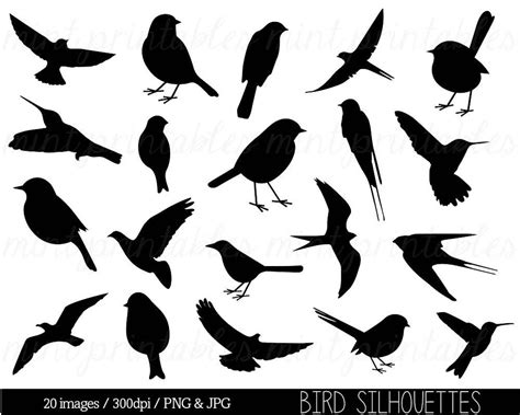 Bird Clipart Clip Art, Bird Silhouette Clipart, Cute Bird, Animal ...