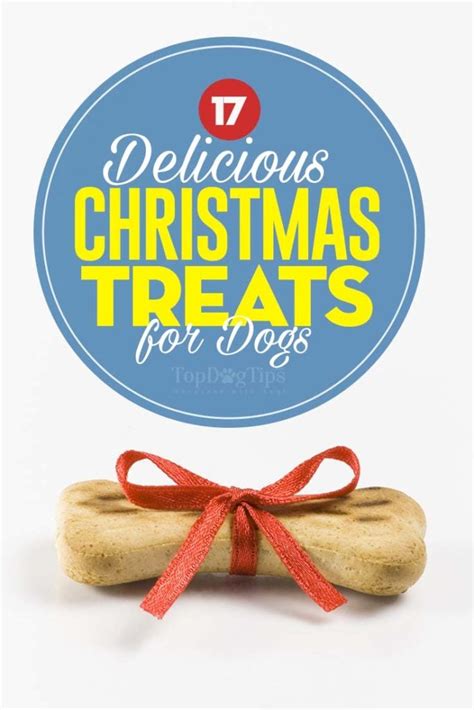 Top 17 Best Christmas Dog Treats (Safe Treats for Holidays)