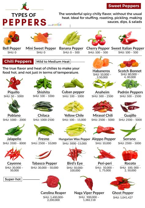 30 Different Types of Peppers From Sweet to Mild, and Truly Hot | Only ...