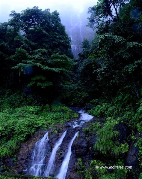 Amboli Ghat - Kingdom Of Waterfalls In Western Ghats - Inditales ...