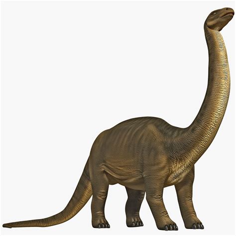 brontosaurus rigged 3d model