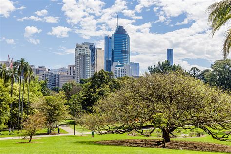 Brisbane City Botanic Gardens | Free Tours & Playground + Dogs Are Welcome!