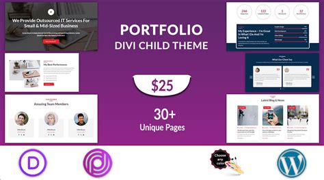 Divi Portfolio Theme - Divi Professional