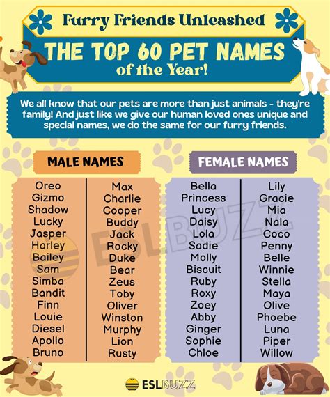 Cute and Creative Pet Names to Learn and Love - ESLBUZZ