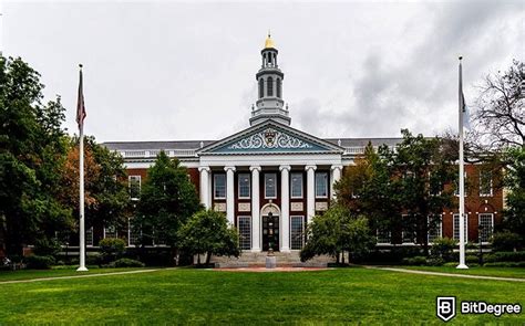 Best Harvard Online Courses (2024) - Top 7 Worthy Options