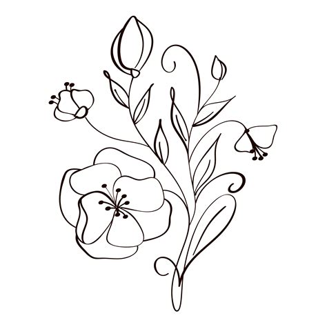 modern flowers drawing and sketch floral with line-art Isolated on ...