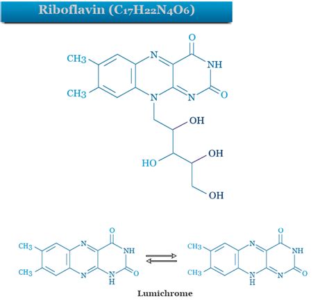 Riboflavin Wikipedia, 46% OFF | www.elevate.in