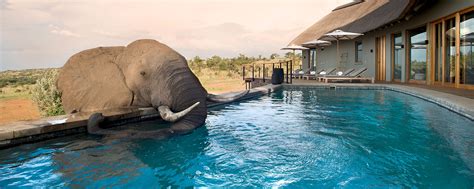 15 Best African Safari Lodges where animals roam free (with pictures)