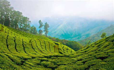 File:Munnar Top station.jpg - Wikipedia