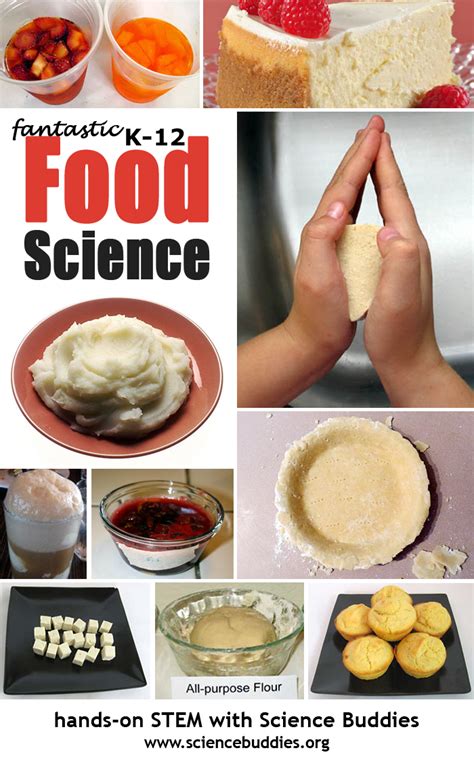 Food Science Projects | Science Buddies Blog | Baking science, Food ...