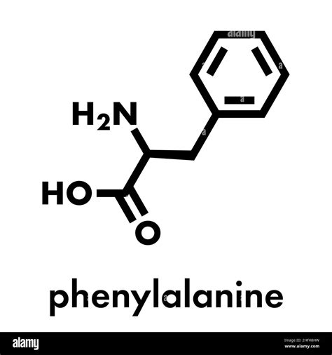 Phenylalanine (l-phenylalanine, Phe, F) amino acid molecule. Skeletal ...