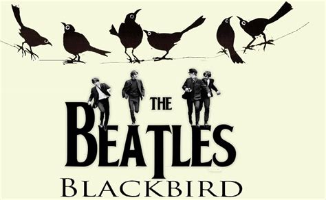 Blackbird The Beatles Lyric: A Timeless Masterpiece - Lefrock Online Store