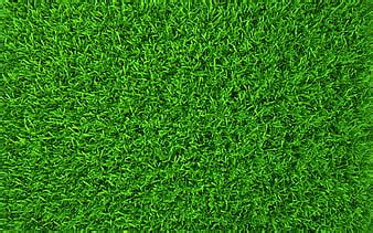 HD grass wallpapers | Peakpx