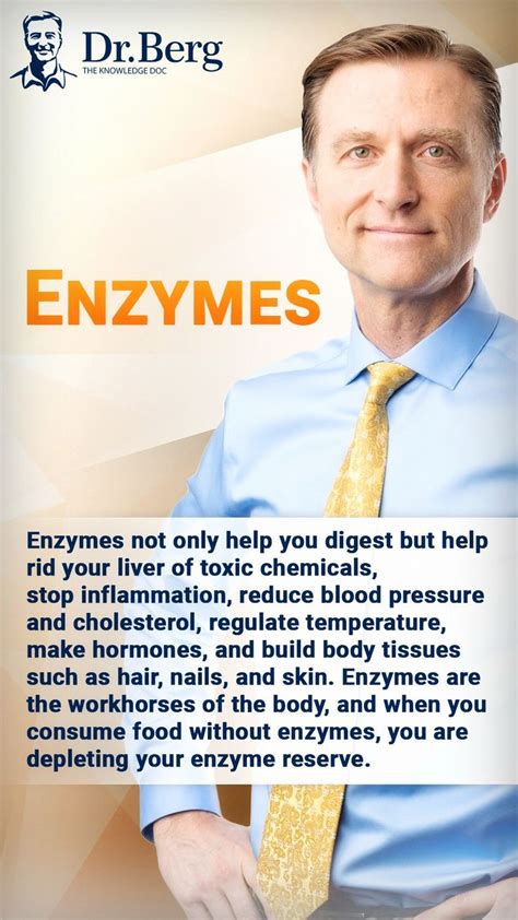 Enzymes | Digestive health, Digestive system, Alternative health