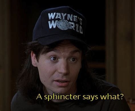 Wayne's World Quotes. QuotesGram