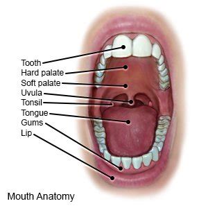 Uvulitis - What You Need to Know