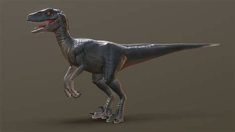 Jurassic Park Velociraptor - 3D model by Sean Thomas (@foon.) [c080e6d ...