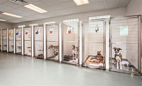 Kennel | Hospital Design | Dog boarding kennels, Dog kennel designs ...