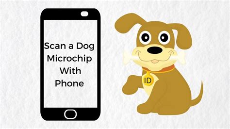 How to Scan a Dog Microchip With Phone | Technobark