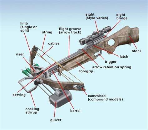 Crossbow Diagram