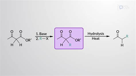 Alkylation of β-Ketoester Enolates: Acetoacetic Ester Synthesis ...