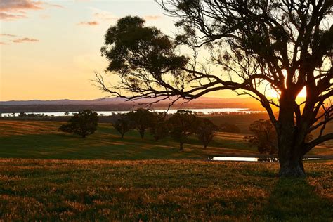 6 Heathcote Wineries That Will Float Your Boat | Wine Regions Australia