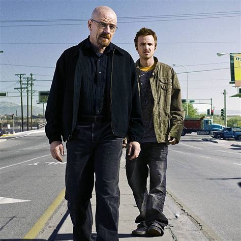 Walter White Costume - Dress Like Walter White - Breaking Bad Costume