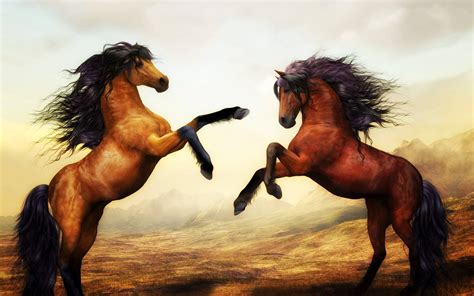 Arabian Horse Wallpapers - Top Free Arabian Horse Backgrounds ...