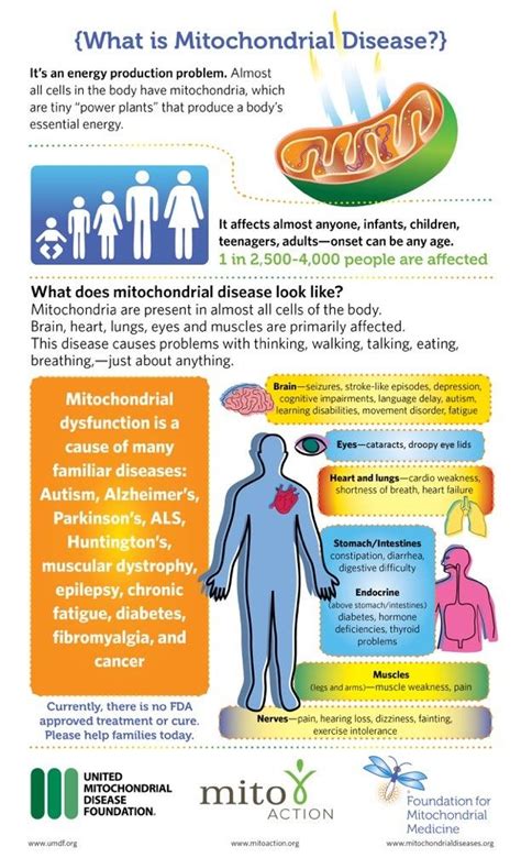 myasthenia gravis prognosis life expectancy - Temika Collado