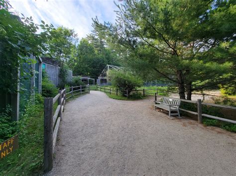 Maine Wildlife Park - Path around aviaries - ZooChat