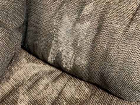 Mold on Furniture | The Causes and Prevention Methods - Environix