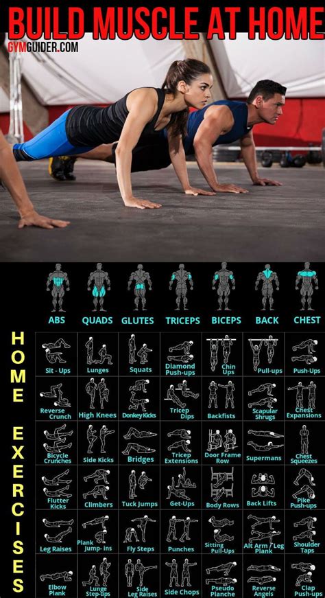 Gym Workout Chart, Abs Workout Routines, Gym Workout Tips, Fitness ...