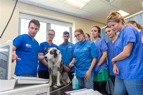 News - Nottingham Vet School earns prestigious accreditation from the ...