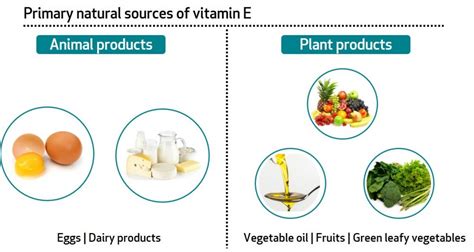 Source Of Vitamins And Minerals |Benefits Of Selenium | Bioanalyt