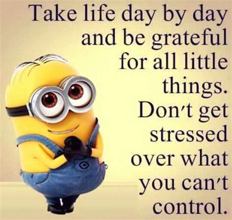 True, but difficult the way my life has become | Funny minion quotes ...