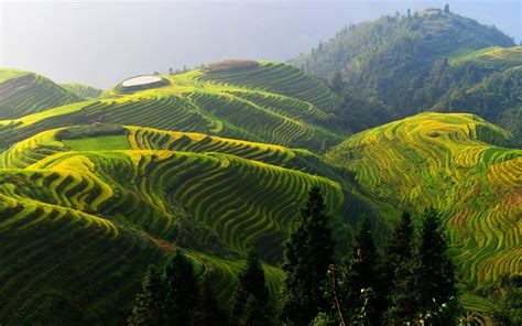 Longji rice terraces, China beautiful countryside wallpaper | nature ...