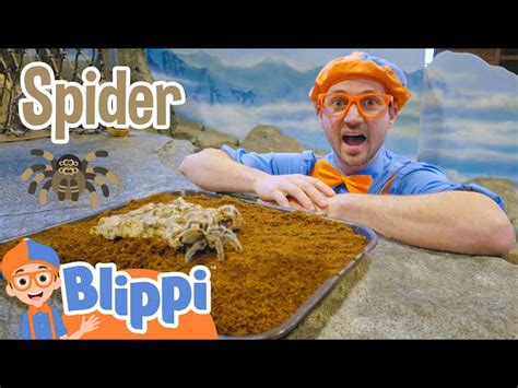 Blippi Visits The Zoo - Learning Animals For Kids | Educational Videos ...