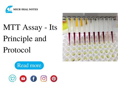 MTT Assay - Its Principle and Protocol - Microbial notes