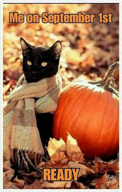 30 Fall Memes for the Autumn-Obsessed - Funny Fall Memes